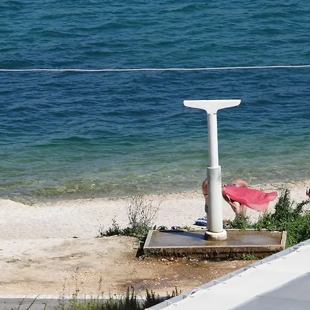 Lola * Trogir